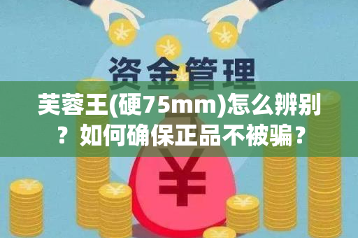 芙蓉王(硬75mm)怎么辨别？如何确保正品不被骗？